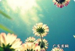 经典美句摘抄短句赏析 【抖音文案】经典美句摘抄短句50字