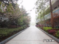 形容城市干净整洁美丽的成语 【抖音文案】形容城市干净整洁美丽的短句