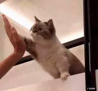 口红的色号有哪些(2021年秋季新品热门口红色号）