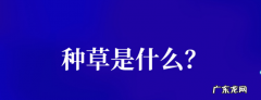 网络用语种草是什么意思？怎么进行种草？