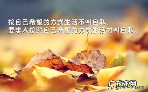 生活感悟心情短句句子正能量 【抖音文案】生活感悟正能量短句