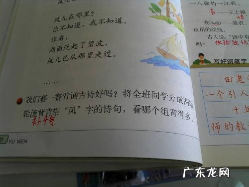 优美环境描写句子摘抄 【抖音文案】环境描写风的句子摘抄