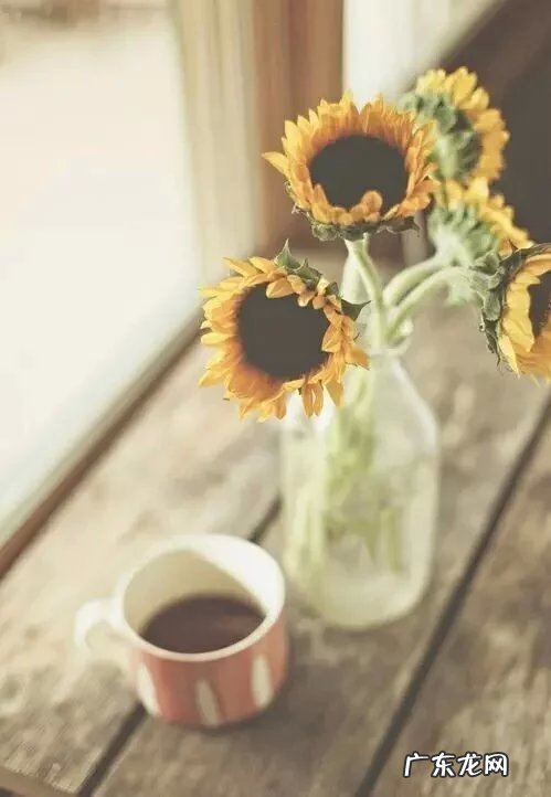 形容心情好的句子 【抖音文案】形容心情好的句子唯美简短