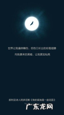 【抖音文案】孤独励志的句子致自己简短