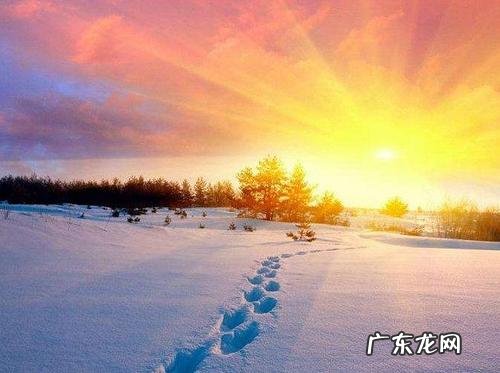 描写冬天早晨景色优美句子 【抖音文案】描写冬天景色优美句子简短