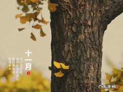 秋天的句子短句唯美图片 【抖音文案】十一月的句子短句唯美图片