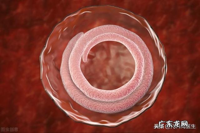 我家小孩以前要吃肉，打了蛔虫就不吃肉了，是为什么？