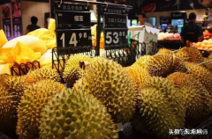 榴莲贵的4个原因 榴莲价格为什么那么贵