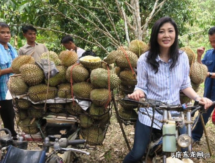 榴莲贵的4个原因 榴莲价格为什么那么贵