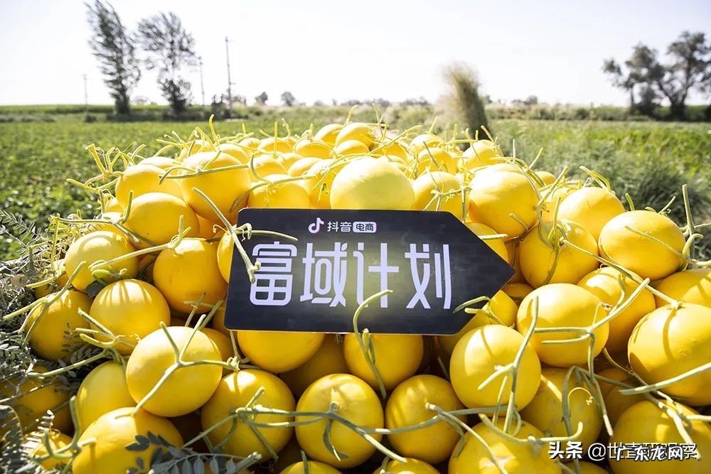 抖音电商正式推出“富域丰收季”活动,加强对农民和创业者的短视频制作能力