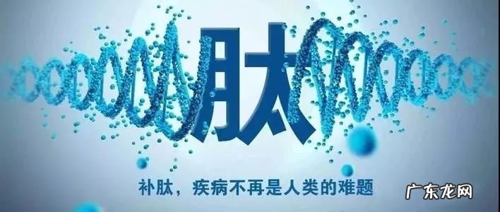 使用活性肽有什么用(活性肽的11个作用与功效）