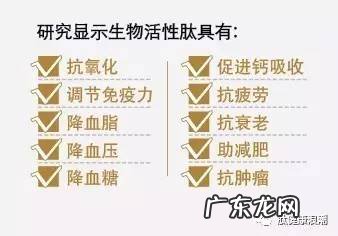 使用活性肽有什么用(活性肽的11个作用与功效）