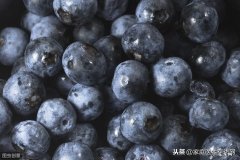 花青素作用有哪些？有哪些副作用？