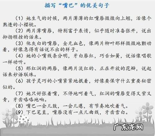 关于描写四季的优美句子开头 【抖音文案】关于描写四季的优美句子