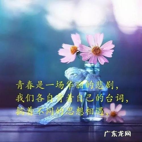 35岁的人生感悟的句子简短的 【抖音文案】经典句子人生感悟简短