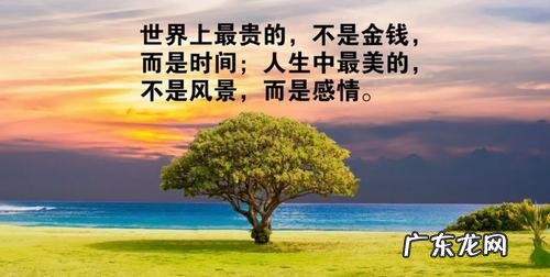35岁的人生感悟的句子简短的 【抖音文案】经典句子人生感悟简短