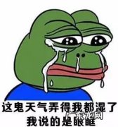 广西回南天是什么意思 回南天是什么意思