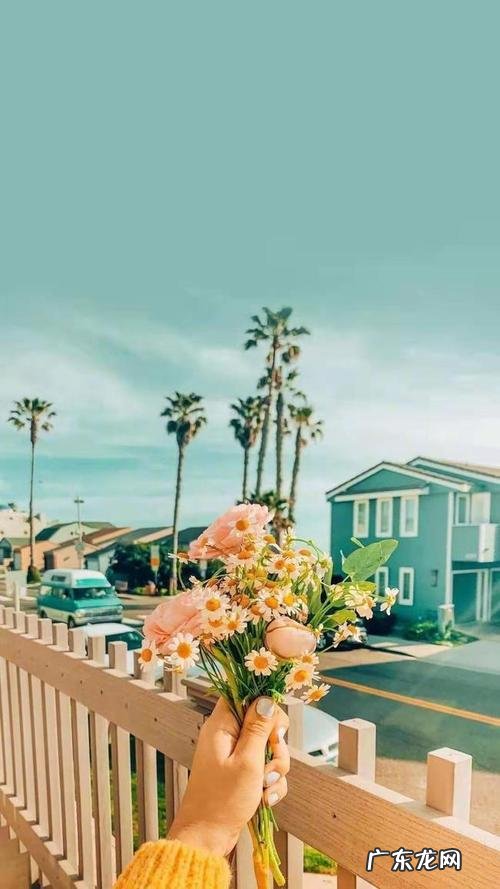 形容夏天雨天的唯美句子 【抖音文案】形容夏天的短句子唯美