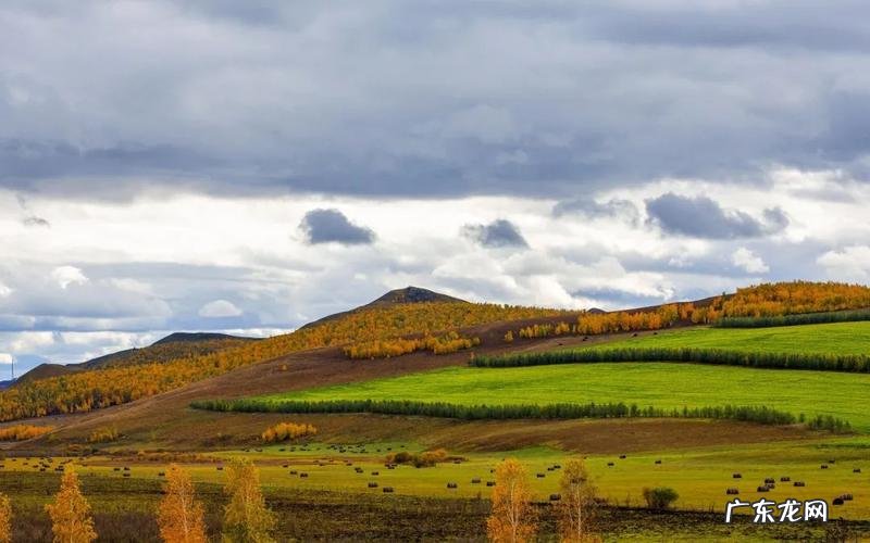 一样的风景不一样的心情的句子 【抖音文案】有关风景心情的短句子