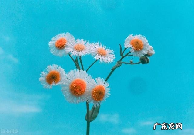 形容心里很暖的句子 【抖音文案】心里特别暖的句子