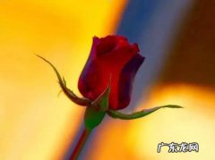 珍惜美好时光的唯美句子 【抖音文案】珍惜相聚美好时光的句子