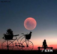 佛说人生感悟的句子 【抖音文案】夜晚人生感悟的句子