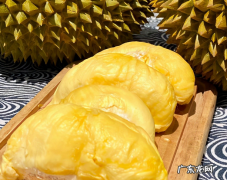 榴莲催熟的三个方法 榴莲打开后是生的该怎么办