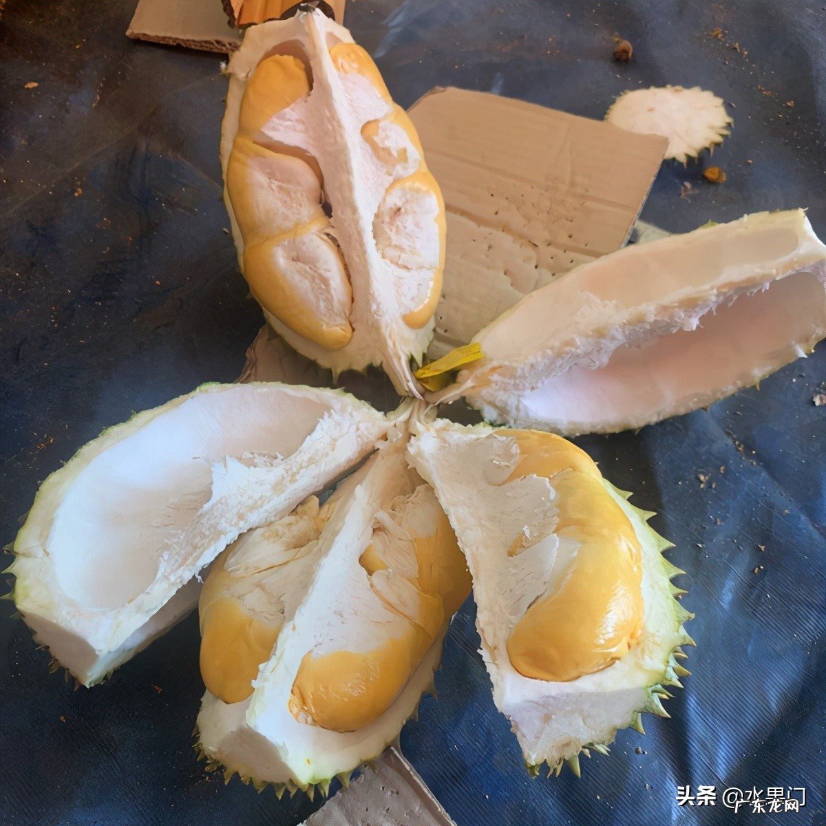 榴莲催熟的三个方法 榴莲打开后是生的该怎么办