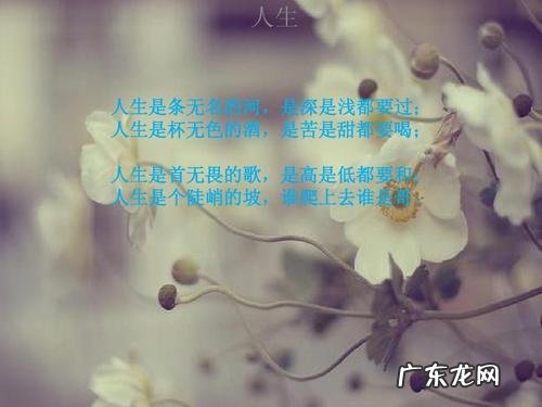 人生感悟正能量的句子经典语句 【抖音文案】人生感悟的经典语句