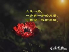 心情不好发朋友圈的短句文案 【抖音文案】适合心情不好发的朋友圈短句