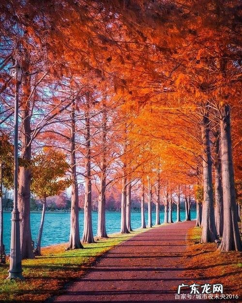 入冬的句子短句唯美 【抖音文案】秋天入冬句子短句唯美