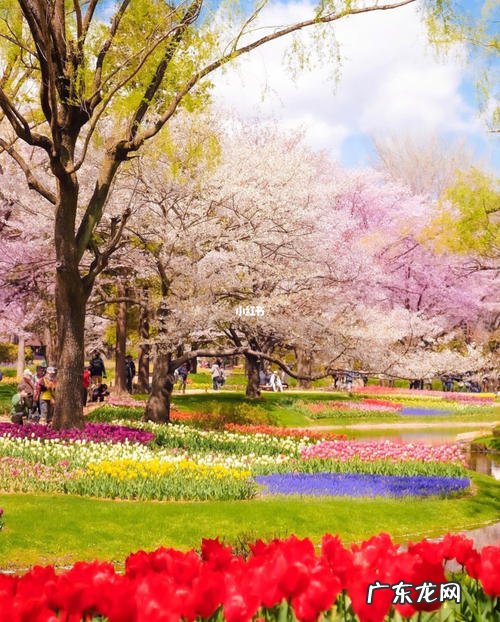 描写秋天踏青的句子 【抖音文案】秋天踏青的唯美句子