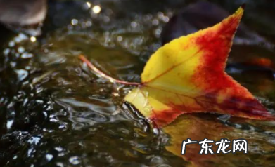 形容潺潺流水的优美句子 【抖音文案】时间如流水的优美句子