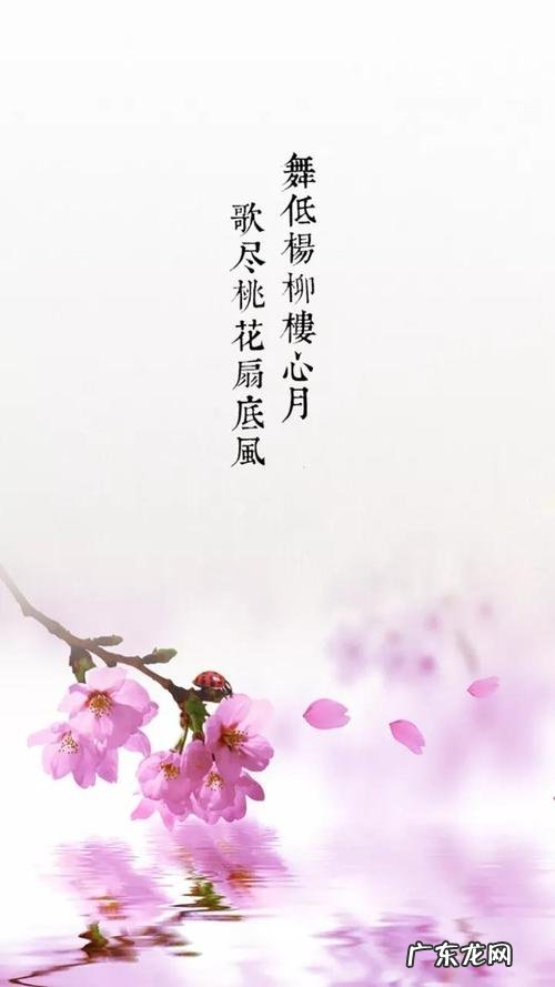 淡雅唯美古风意境句子短句 【抖音文案】唯美句子短句古风友情