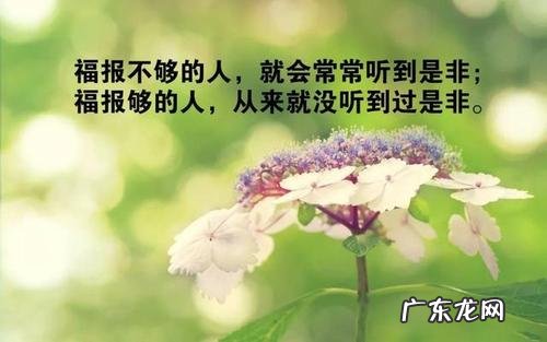 努力的句子说说心情 【抖音文案】说说努力的经典句子