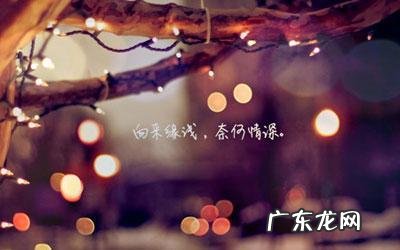 找一段伤感的话语 【抖音文案】最伤感心痛的短句说说