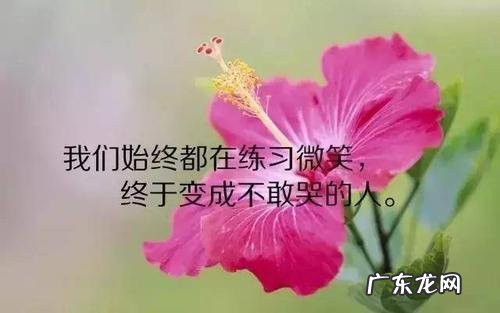 旅游心情愉快的句子 【抖音文案】心情愉快的简短的句子