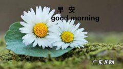 清晨的阳光唯美句子早安心语 【抖音文案】唯美早安心语简短句子