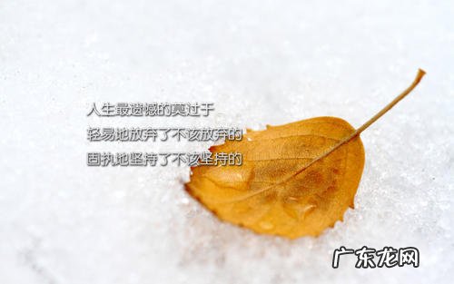 写时间过得很快的唯美句子 【抖音文案】时间很快的句子唯美