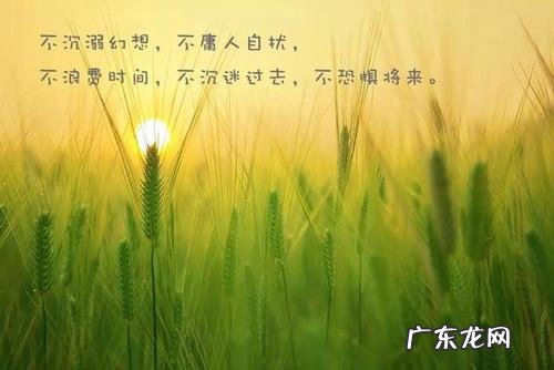 简单干净致自己的句子励志 【抖音文案】简单励志的句子致自己简短