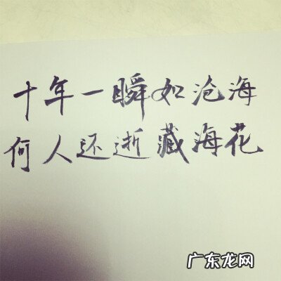 关于爱情的诗文佳句 【抖音文案】关于爱情伤感简短佳句