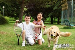 金毛训练的十个方式