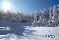 描述冬天景色优美的句子 【抖音文案】描述冬天景色的句子