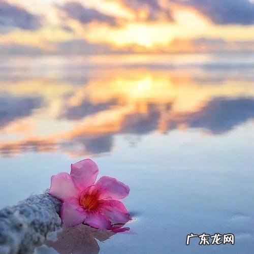 一句简短的句子发朋友圈 【抖音文案】一句简短的风景标题