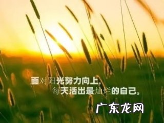 鼓励孩子得奖的优美句子 【抖音文案】鼓励人生的句子优美