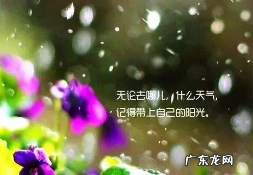 秋天的句子短句唯美 【抖音文案】唯美的句子优美短句