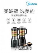 日本破壁机十大排行榜 国产破壁机十大排行榜