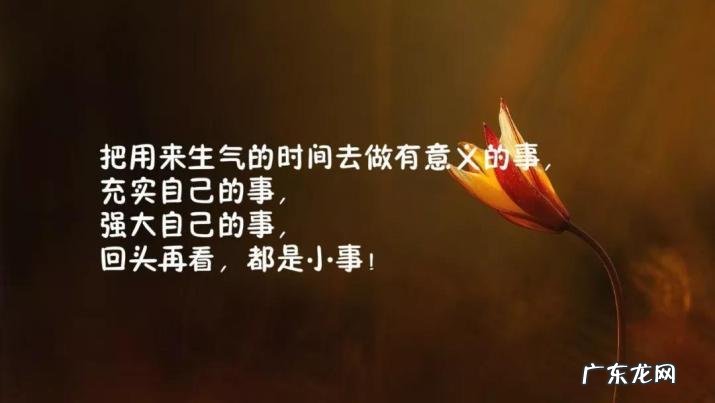 【抖音文案】形容11月份的美好励志句子