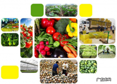 怎么在淘宝上卖农产品？卖农产品要什么证件？