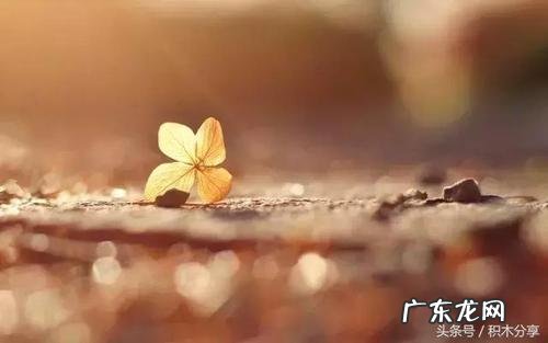 生活好累好压抑的句子说说 【抖音文案】生活好累好压抑的句子